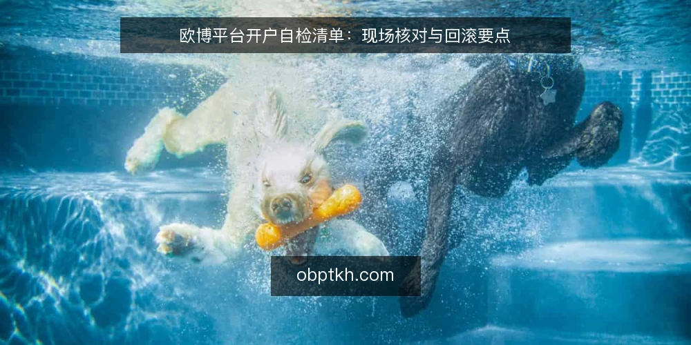 欧博平台开户自检清单:现场核对与回滚要点 — 先看入口信号 配图