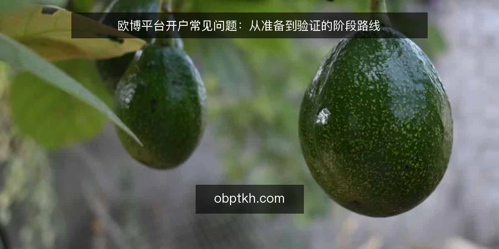 欧博平台开户常见问题:从准备到验证的阶段路线 — 基线:开户前需要确认哪些前提? 配图